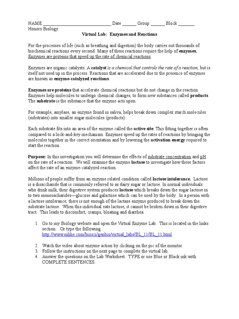 Virtual Enzyme Lab and Directions PDF Active Site Enzyme
