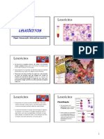 Slide Da Profª. Ledilce Almeida Ataíde [Fisiopatologia E Farmacoterapia I] - 2011.1 - (04º) - LEUCÓCITOS (1).pdf
