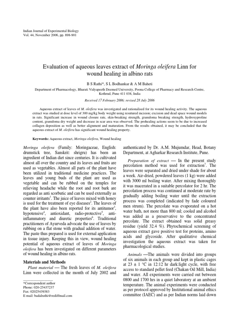 Moringa seeds picture