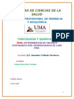 informe 4