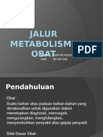 METABOLISME - Jalur Metabolisme Obat