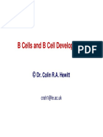 08 Colin-UK Modificado B Cell Development
