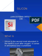 Silicon: Juan Esteban Ortega 10B