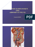 Anatomia Radiologica Abd Pelvis