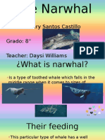 Name: Valery Santos Castillo Grado: 8° Teacher: Daysi Williams