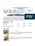 Guia 11 Acidos Carboxilicos