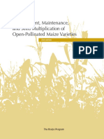Development, Maintenance, and Seed Multiplication of Open-Pollinated Maize Varieties