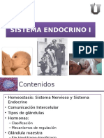 12. Sistema Endocrino I (3)