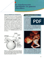 capitulo-2-langman-embriologia-mc3a9dica-11c2b0-edicic3b3n.pdf