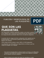 Función y Morfología de Las Plaquetas