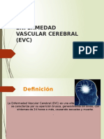 EVC: Enfermedad Vascular Cerebral