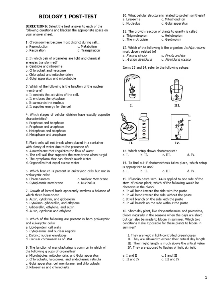 Biology 1 PostTest PDF Cytoplasm Cell (Biology)