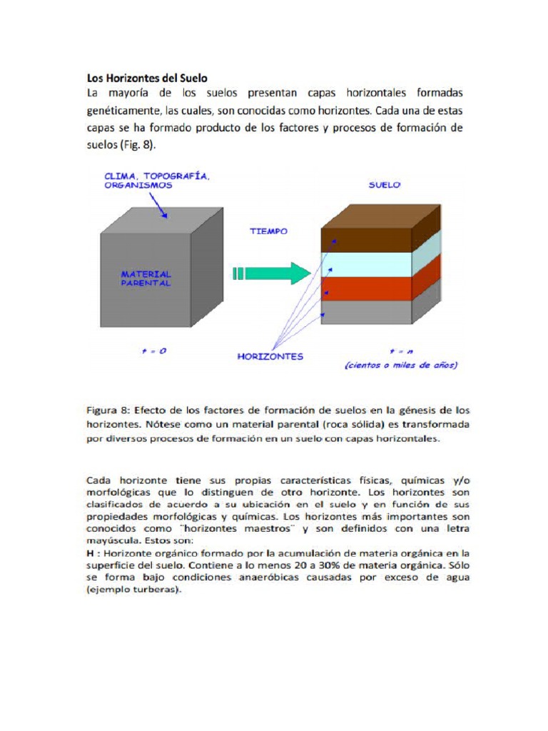 Horizontes Del Suelo | PDF