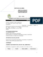 Guía de Cambios Anatomofisiológicos de La Gestacion