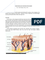 ANATOMI SISTEM INTEGUMEN