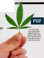 Marihuana El Debate Por Su Legalizacion PDF