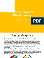 Digital Graphics File Formats: Katie Hair