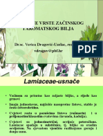 Zacinsko I Aromatsko 2013 3