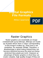Understanding Digital Graphics
