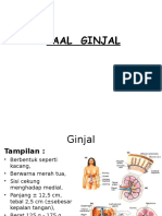 FAAL GINJAL.ppt