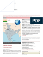 India - FICHA PAIS PDF