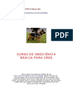 Curso Basico.pdf