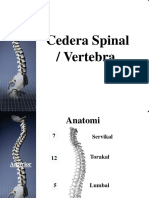 Cedera Spine Spinalcord