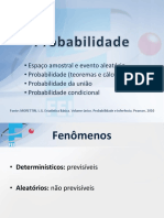 Probabilidade e Eventos Aleatórios