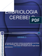 Embriología I - Semana 07 - Cerebelo