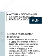 Anatomia y Fisiologia Del Sistema Reproductor Femenino y