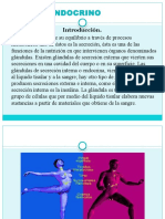 Sistema Endocrino 