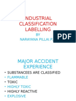 Industrial Classification and Labelling of Major Hazard Factories