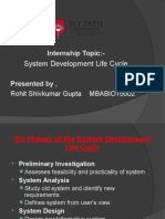 System Development Life Cycle: Internship Topic