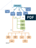 Organigrama GIE (Prospecto Marco) PDF