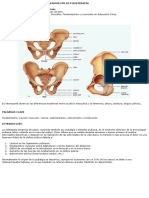 Fisioterapia Osteopatia Pubis