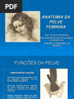 Anatomia Da Pelve Feminina