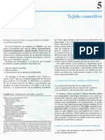 Cap 05-Tejido conectivo.pdf