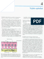 Cap 04-Tejido epitelial.pdf