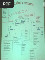 Bloqueos en El Ciclo de La Experiencia