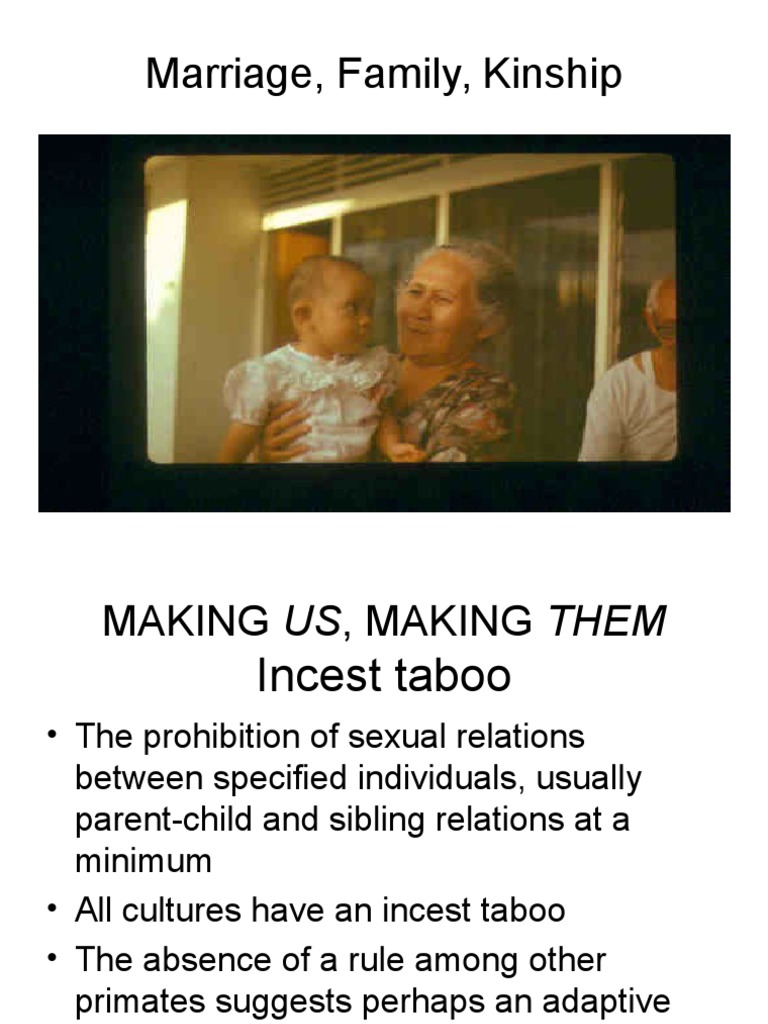 The Fundamental Transition: Exploring the Origins and Functions of the