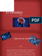 El Cerebro