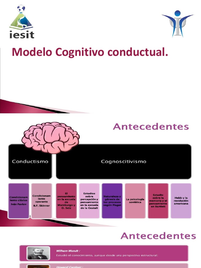 Modelo cognitivo conductual Terapia cognitiva