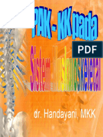 PAK muskuloskeletal VI.pdf