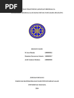 Download Laporan Praktikum Lapangan Mikroalga by M Inas Riandy SN328475970 doc pdf