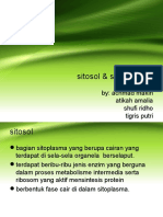 Sitosol