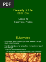 Brusca and brusca invertebrates pdf file online