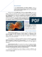 Tipos de Adenocarcinoma