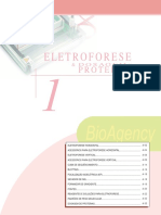 Eletroforese Proteinas PDF