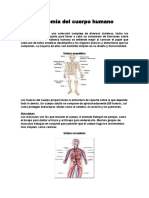 Anatomía Del Cuerpo Humano
