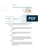 Opciones de Transformación